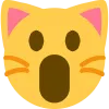 KCcatshocked