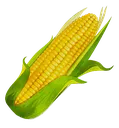 KCcorn