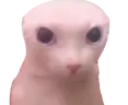 bingus