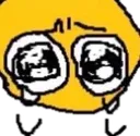snf
