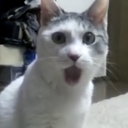 pog Discord emoji