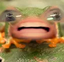 weird_af_frog Discord Emoji