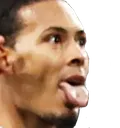dijk_lick