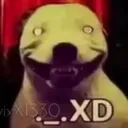 XD_