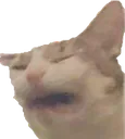 OOF_cat OOF_cat