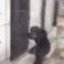 DOORSTUCK