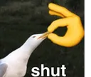 shut