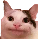 pokerface_cat pokerface_cat
