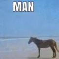 AscSaltman