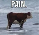 AscMickeyPain AscMickeyPain