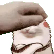 petthekot