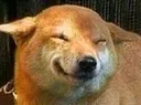 YD_SmileyDoggo