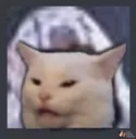 69Cat