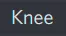 Knee