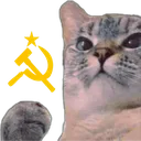 OurCat OurCat