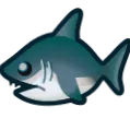 ANCHShark
