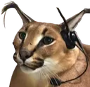 SCfloppagamer SCfloppagamer