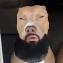 lightskindog
