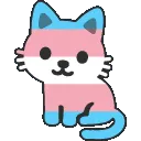 trans_cat_NYOOOOM