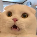 emoji_20