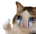 cat_ok_sad_KT Discord Emoji