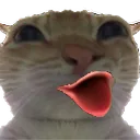 KotPog Discord Emoji