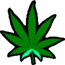 cox_marijuana