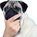 pugthink