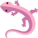 LizardPink