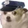 GO_chiwaPolice