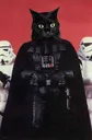 DarthCat Discord Emoji