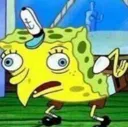 sponge