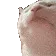 vibecat