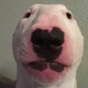 walter