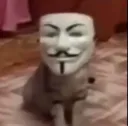 hackr