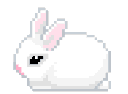 rabbitthing