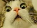 AHHH