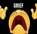 grief grief