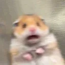 scared_pkmd