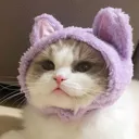 c_cathood