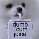 dumbcumjuice
