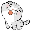kot_kavai