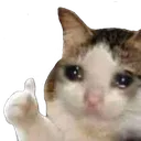 sadcatgud