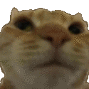 noO
