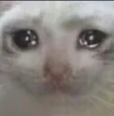 SadCat