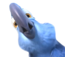 BluWhut Discord emoji