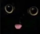 cat_blep cat_blep