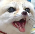 fennscream