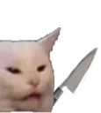 743351170688352267