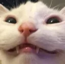 smile smile